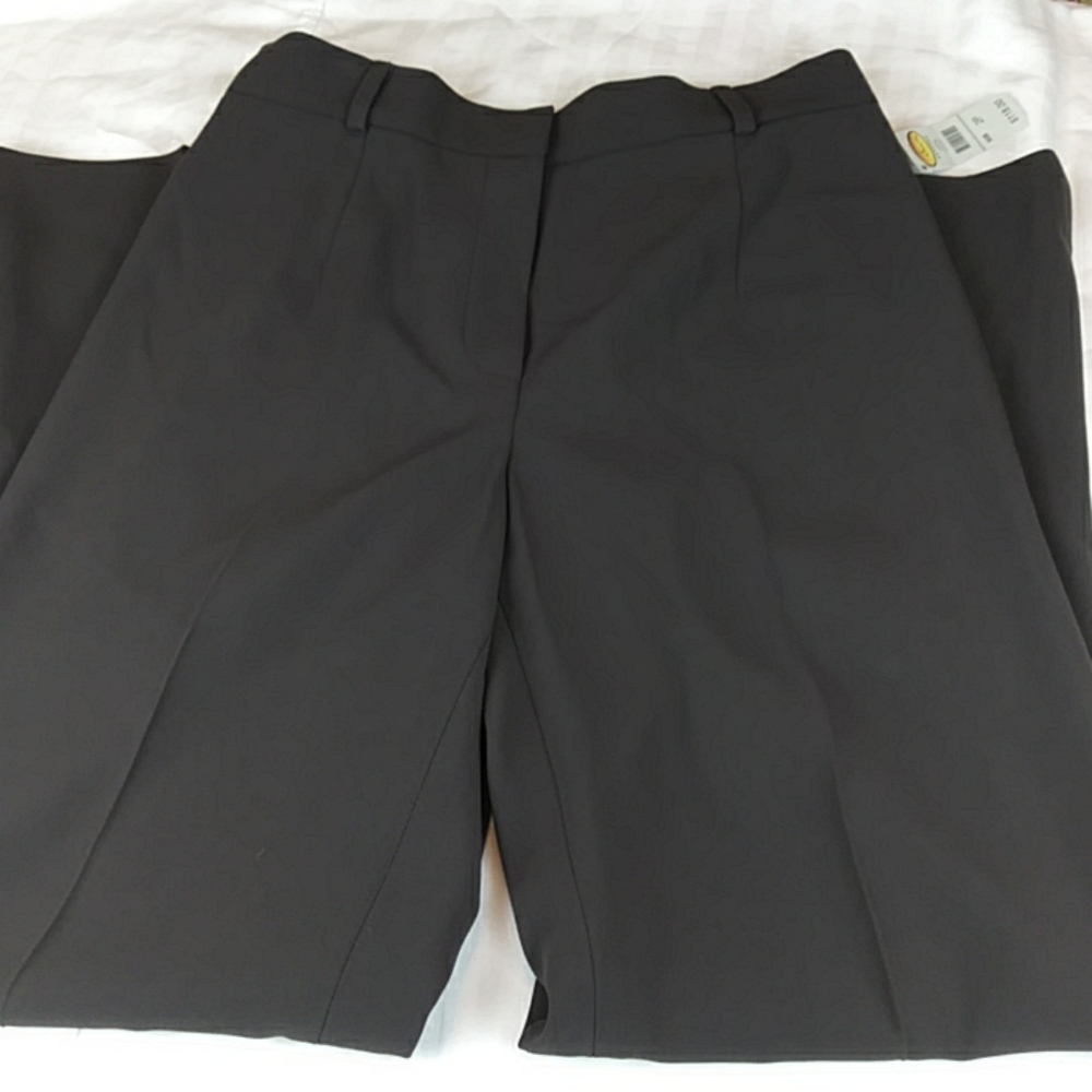 NWT Talbot's pleated dress pants US SZ 2P